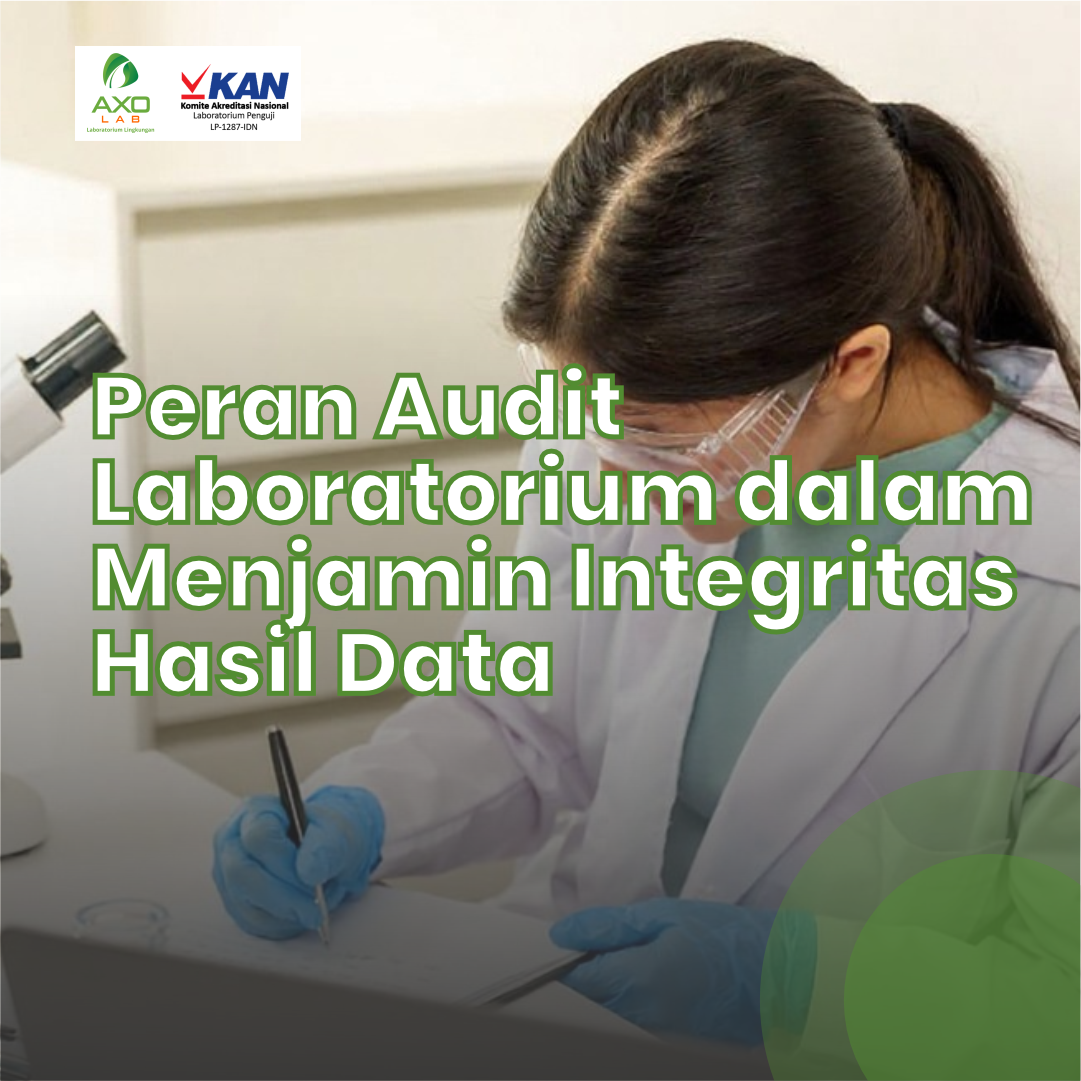 thumb axo peran audit