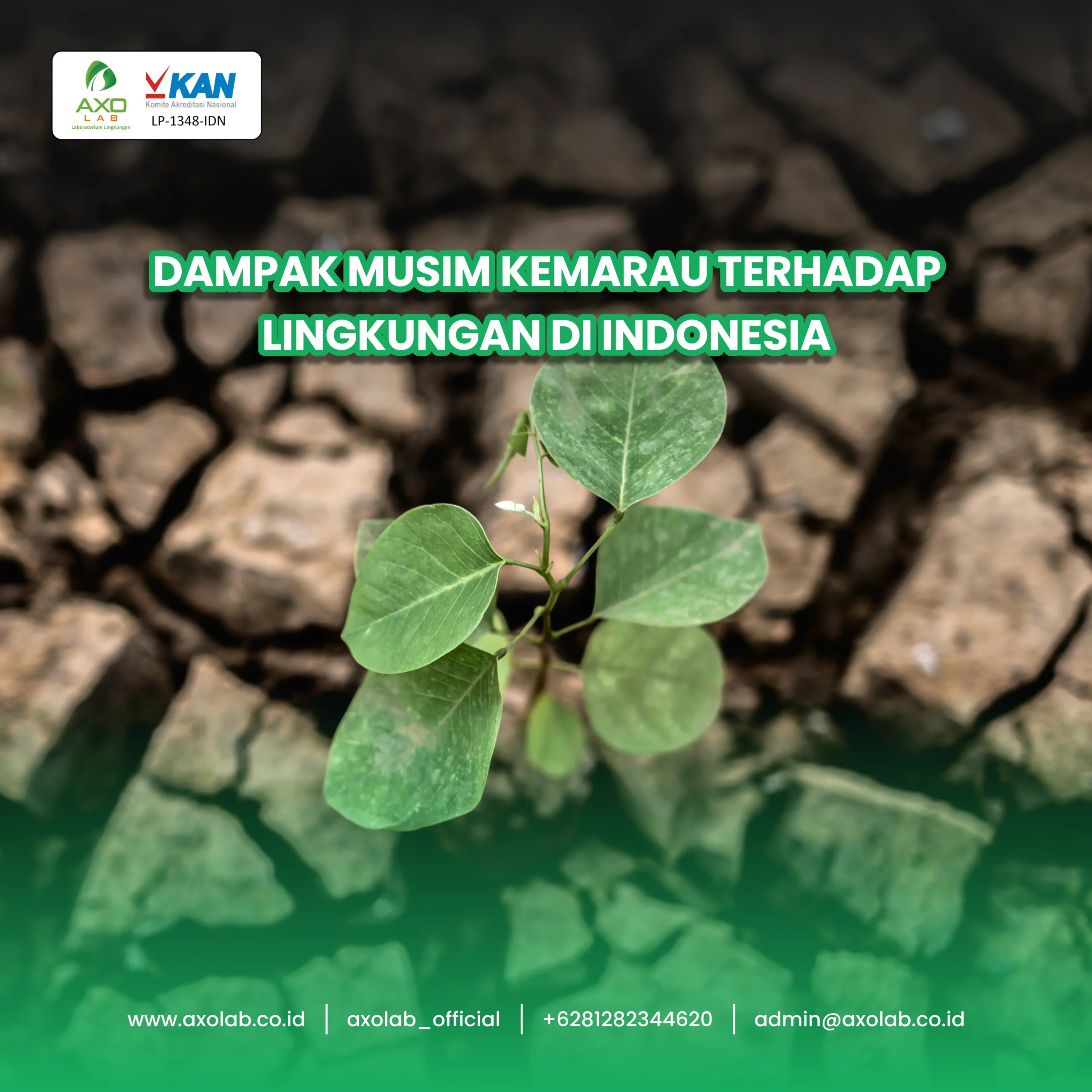 kemarau
